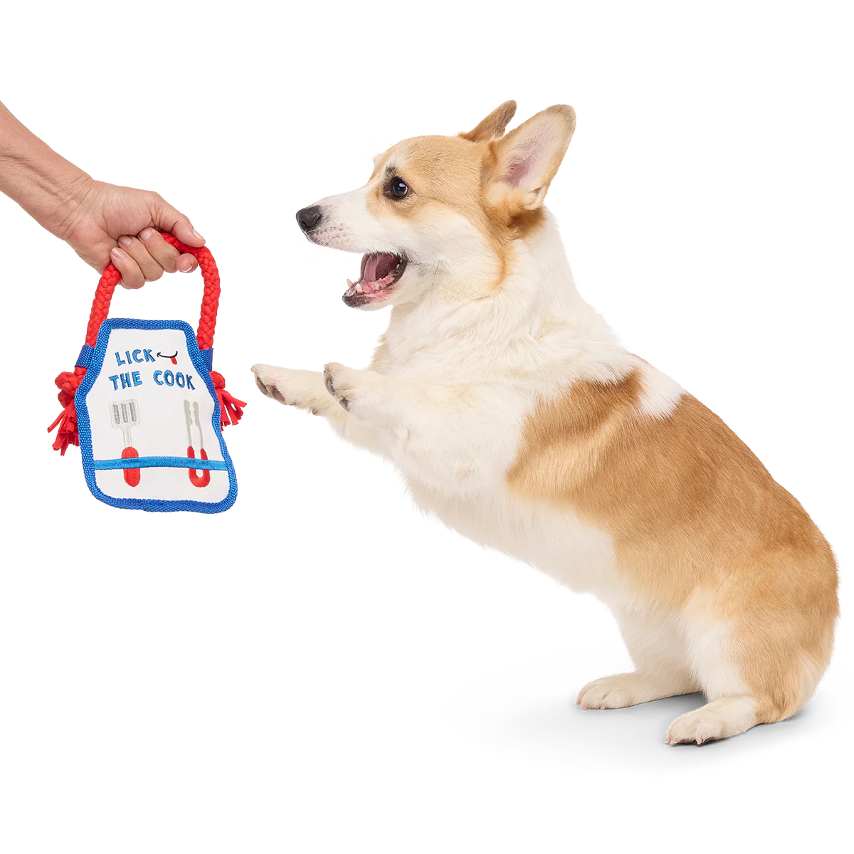 Grrrill Champ Apron Plush Tug + Wearable Dog Toy - Image 4