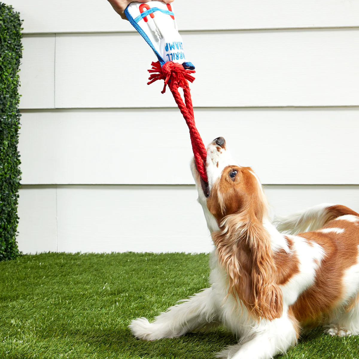 Grrrill Champ Apron Plush Tug + Wearable Dog Toy - Image 6