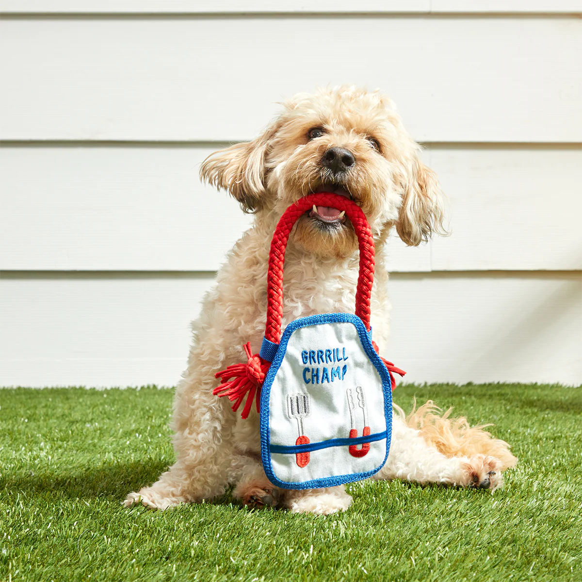 Grrrill Champ Apron Plush Tug + Wearable Dog Toy - Image 7