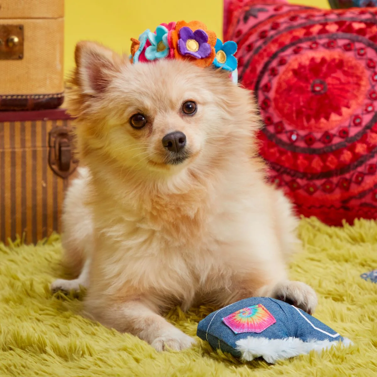 Grrroovy Threads Plush Tug + Multi-Part + Wearable Dog Toy - Image 2