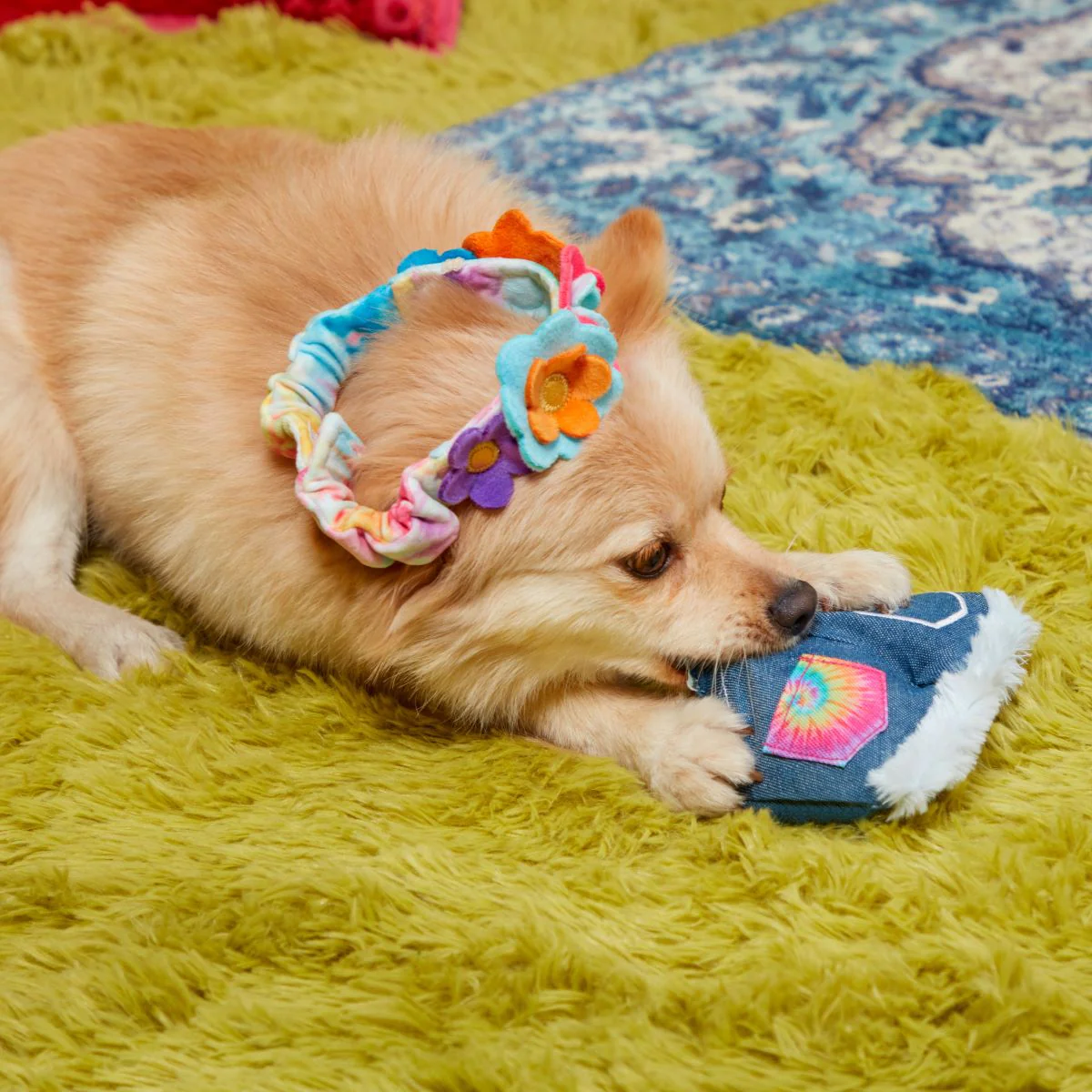 Grrroovy Threads Plush Tug + Multi-Part + Wearable Dog Toy - Image 3