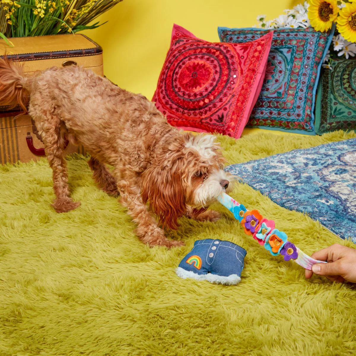 Grrroovy Threads Plush Tug + Multi-Part + Wearable Dog Toy - Image 4