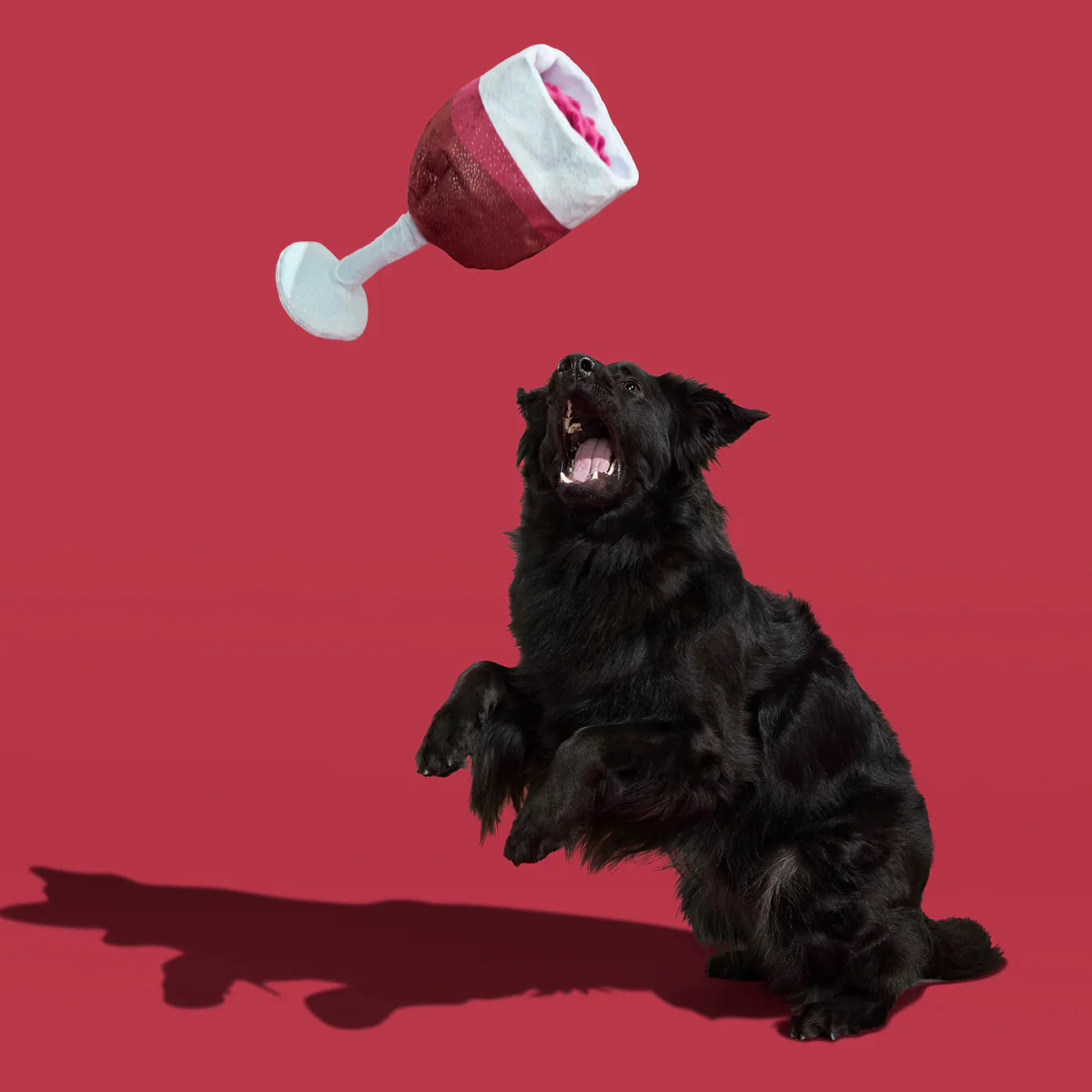 Grrrrande Vino Plush Extra-Large Tug Dog Toy - Image 6