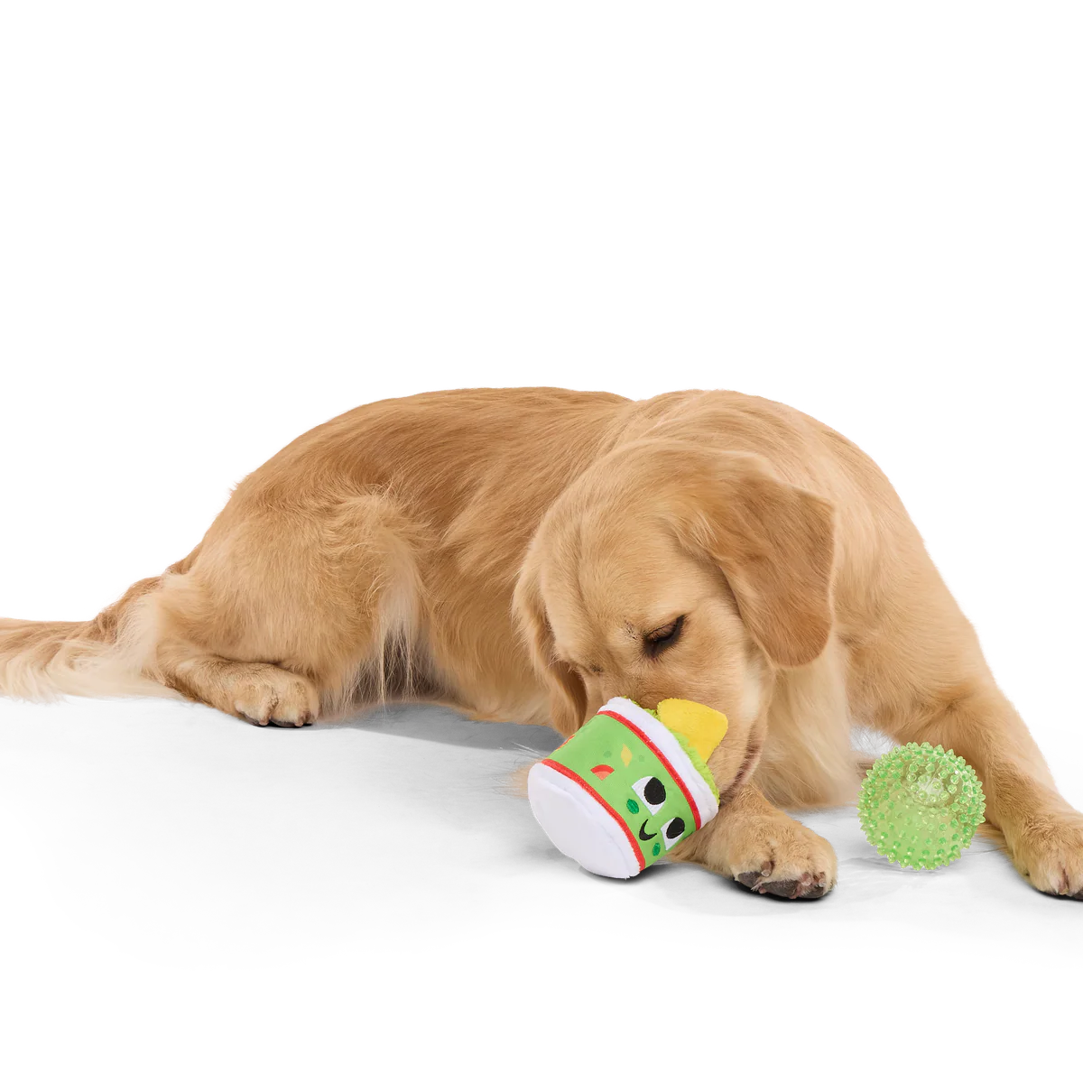 Guac A-Molly Plush Multi-Part + Fetch + Enrichment Dog Toy - Image 5
