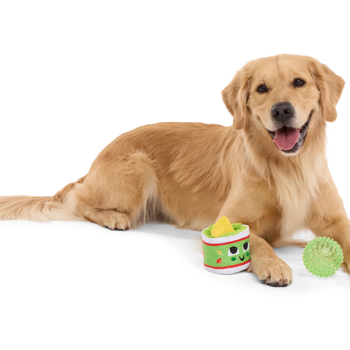 Guac A-Molly Plush Multi-Part + Fetch + Enrichment Dog Toy - Image 6