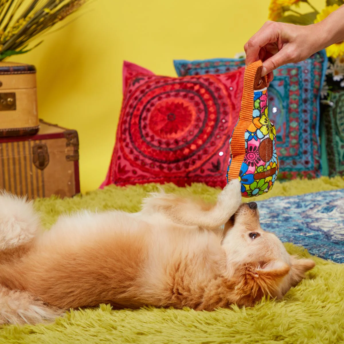 Guitar Licks Plush Dog Toy - Image 3