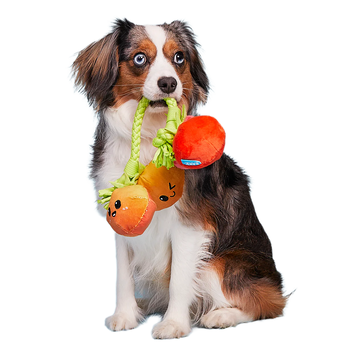 Hairloom Tomatoes Plush Tug Dog Toy - Image 3