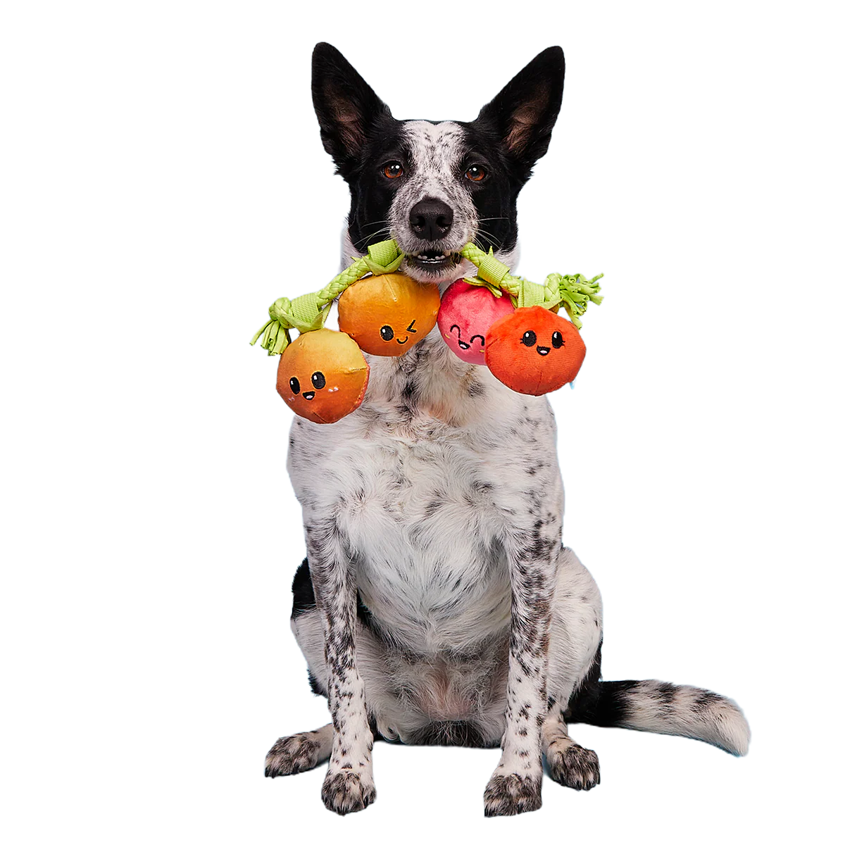 Hairloom Tomatoes Plush Tug Dog Toy - Image 5