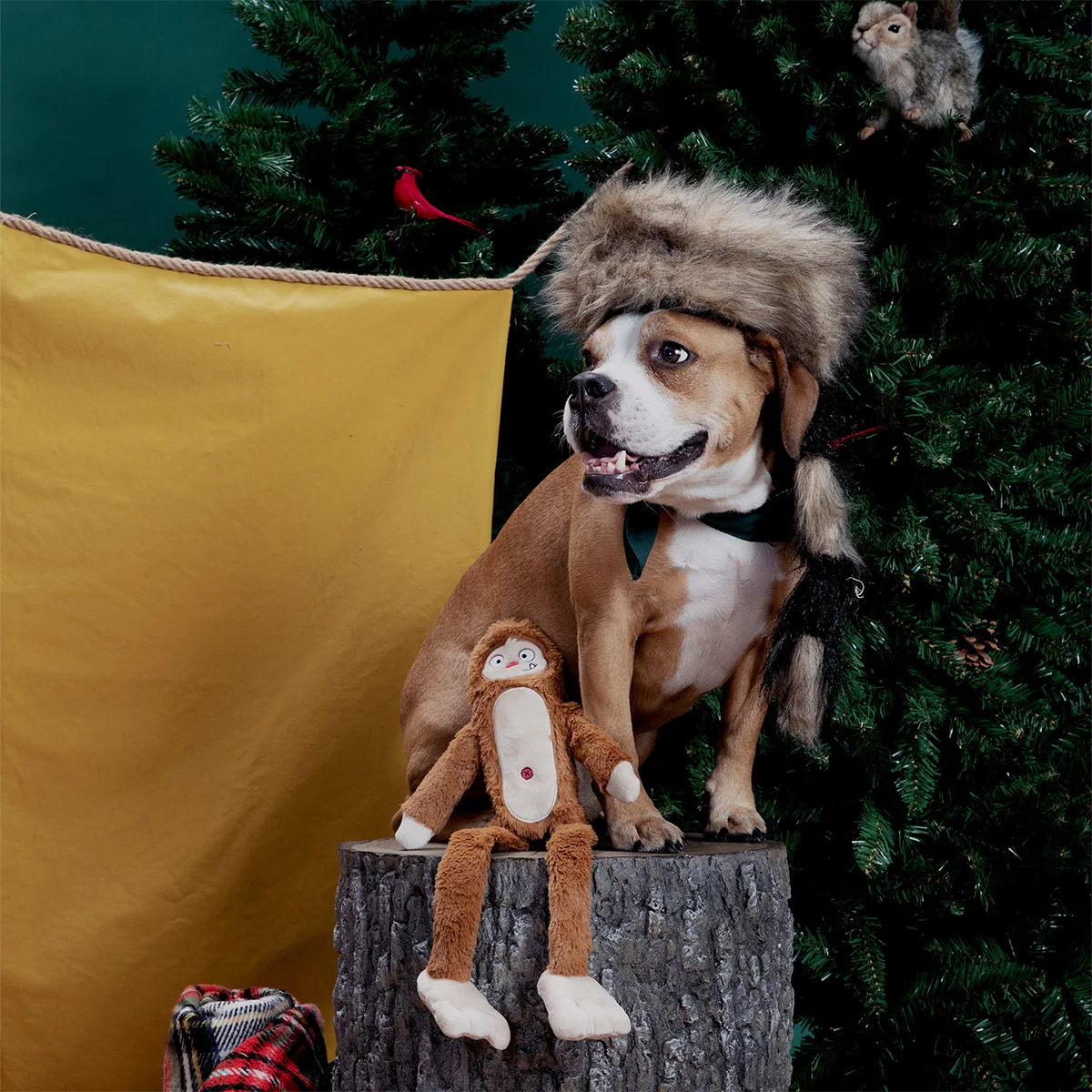 Hairy Henderson Plush Tug + Extra-Large Dog Toy - Image 6