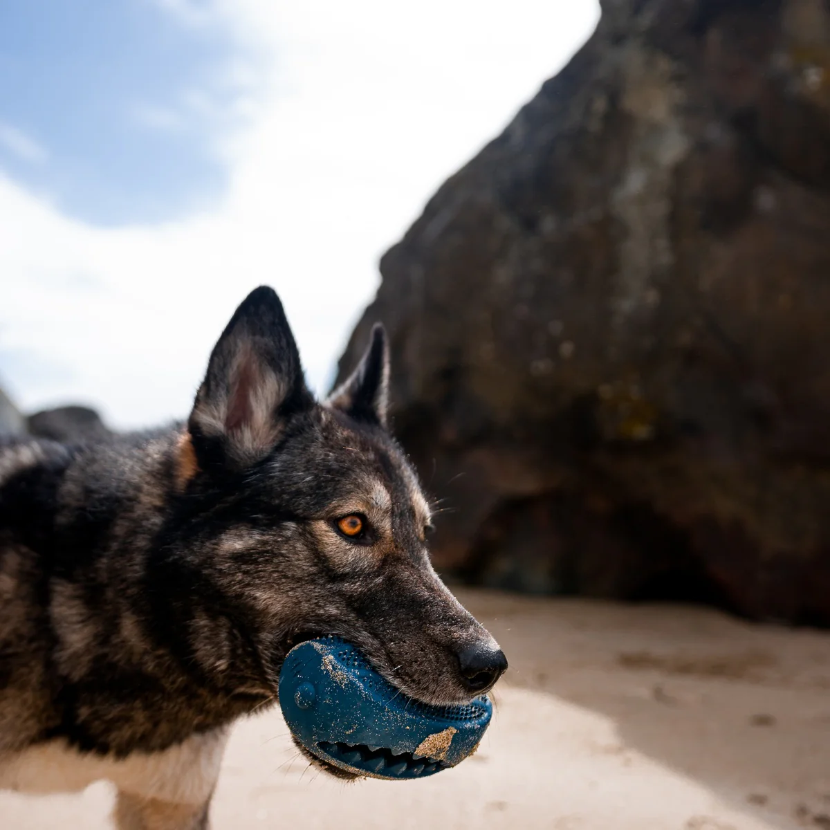 Hammer Fed Shark Super Chewer Durable Enrichment Dog Toy - Image 5