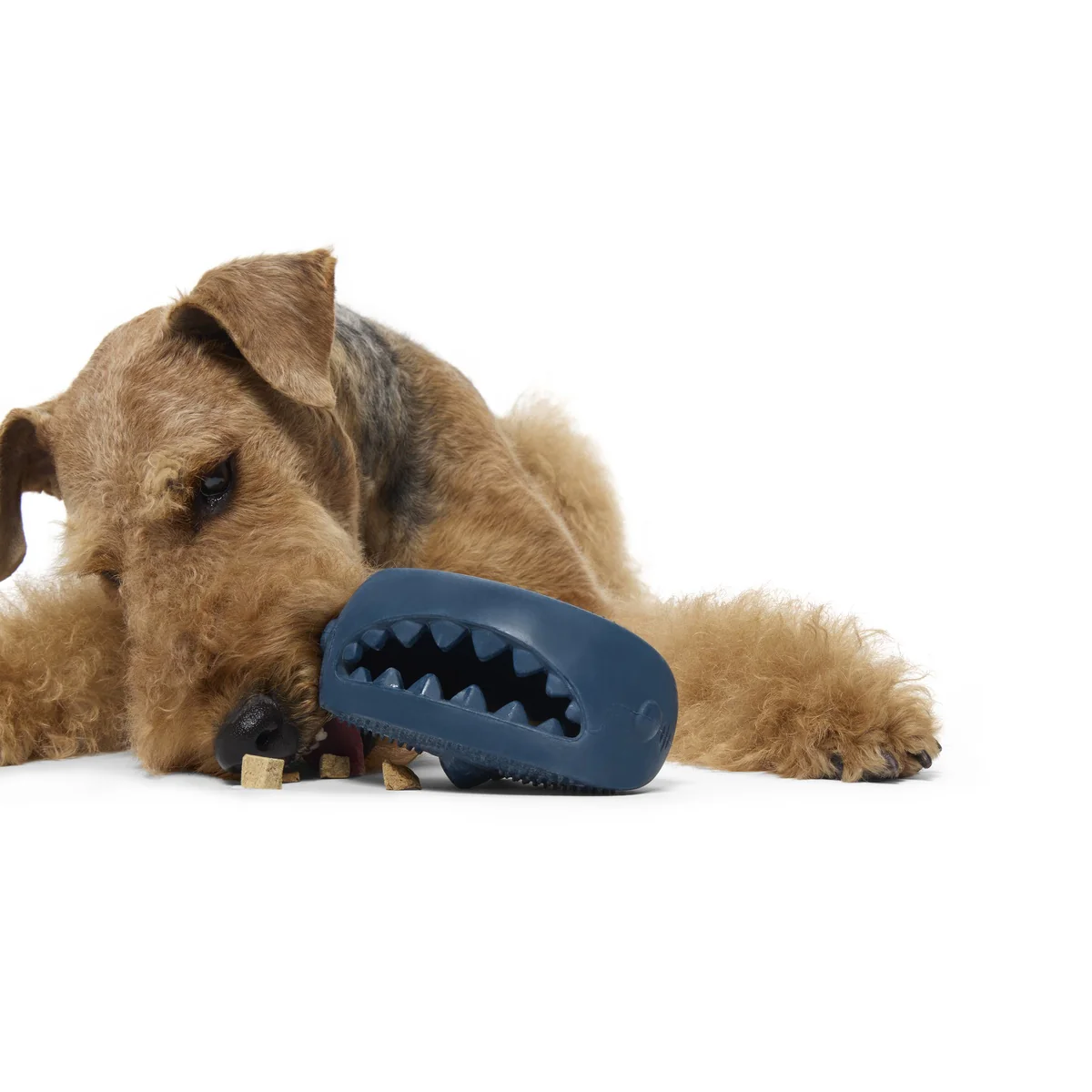 Hammer Fed Shark Super Chewer Durable Enrichment Dog Toy - Image 6