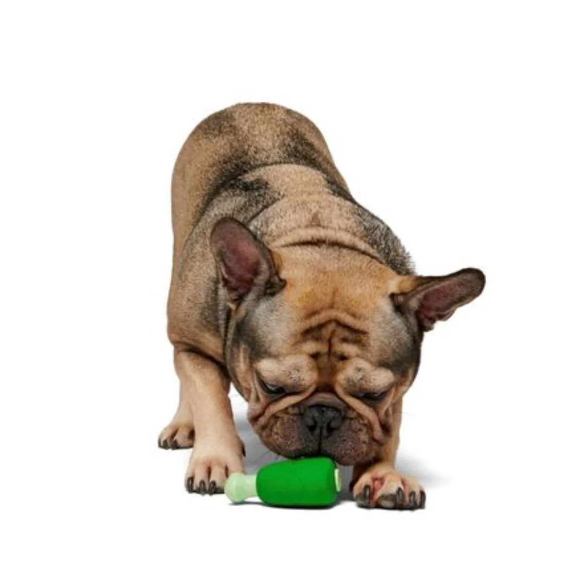 Hamrock Durable Super Chewer Gnaw Dog Toy - Image 2