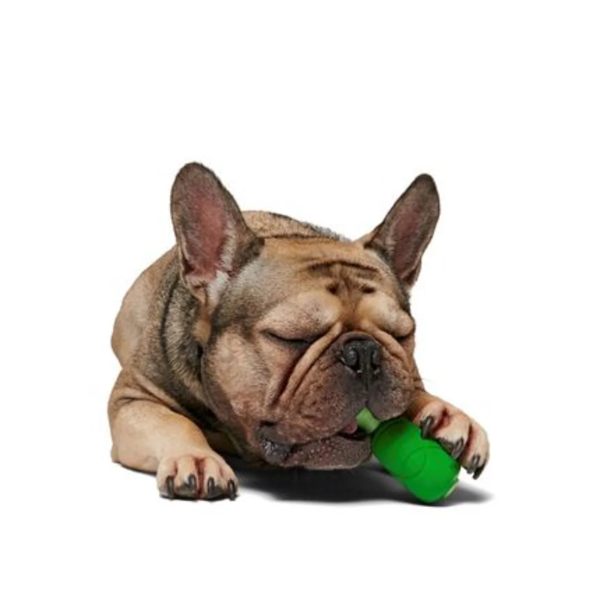 Hamrock Durable Super Chewer Gnaw Dog Toy - Image 3
