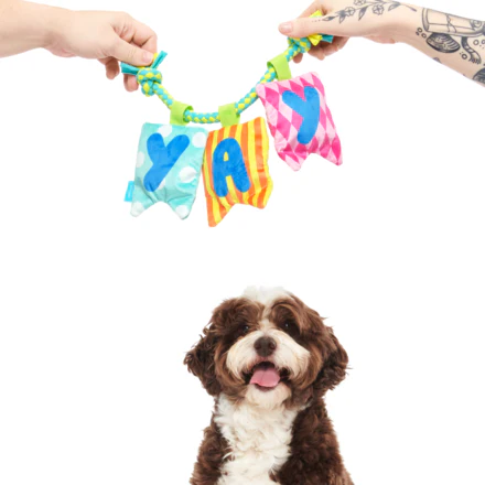 Happy Yay Banner Plush Tug Dog Toy - Image 3