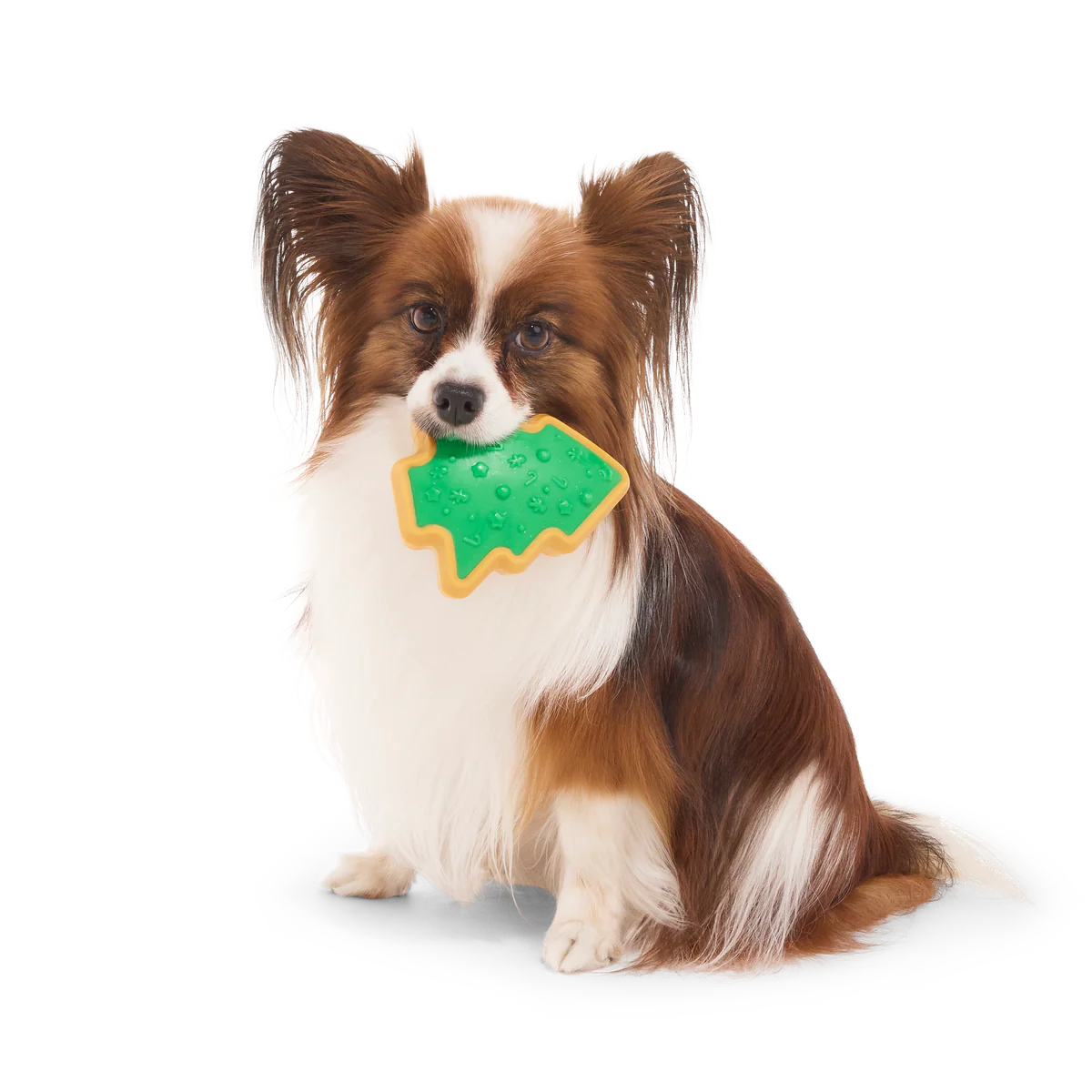 Hard-Baked Sugrrrr Cookie Super Chewer Durable Gnaw + Enrichment Dog Toy - Image 6
