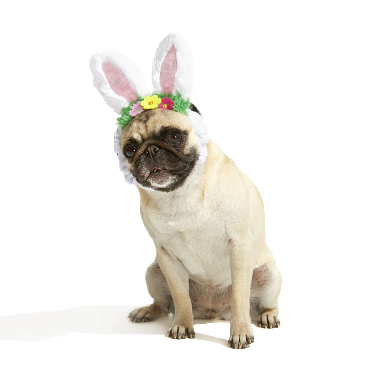 Hare Club Plush Wearable Dog Toy - Image 5