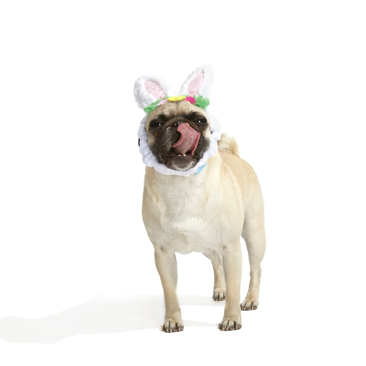 Hare Club Plush Wearable Dog Toy - Image 6