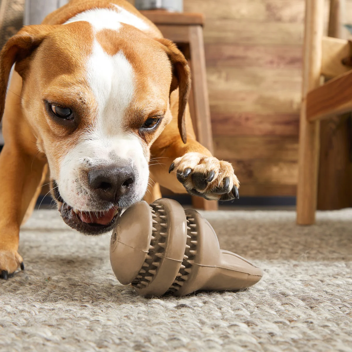 Hare Raiser Super Chewer Durable 2-in-1 + Enrichment Dog Toy - Image 3