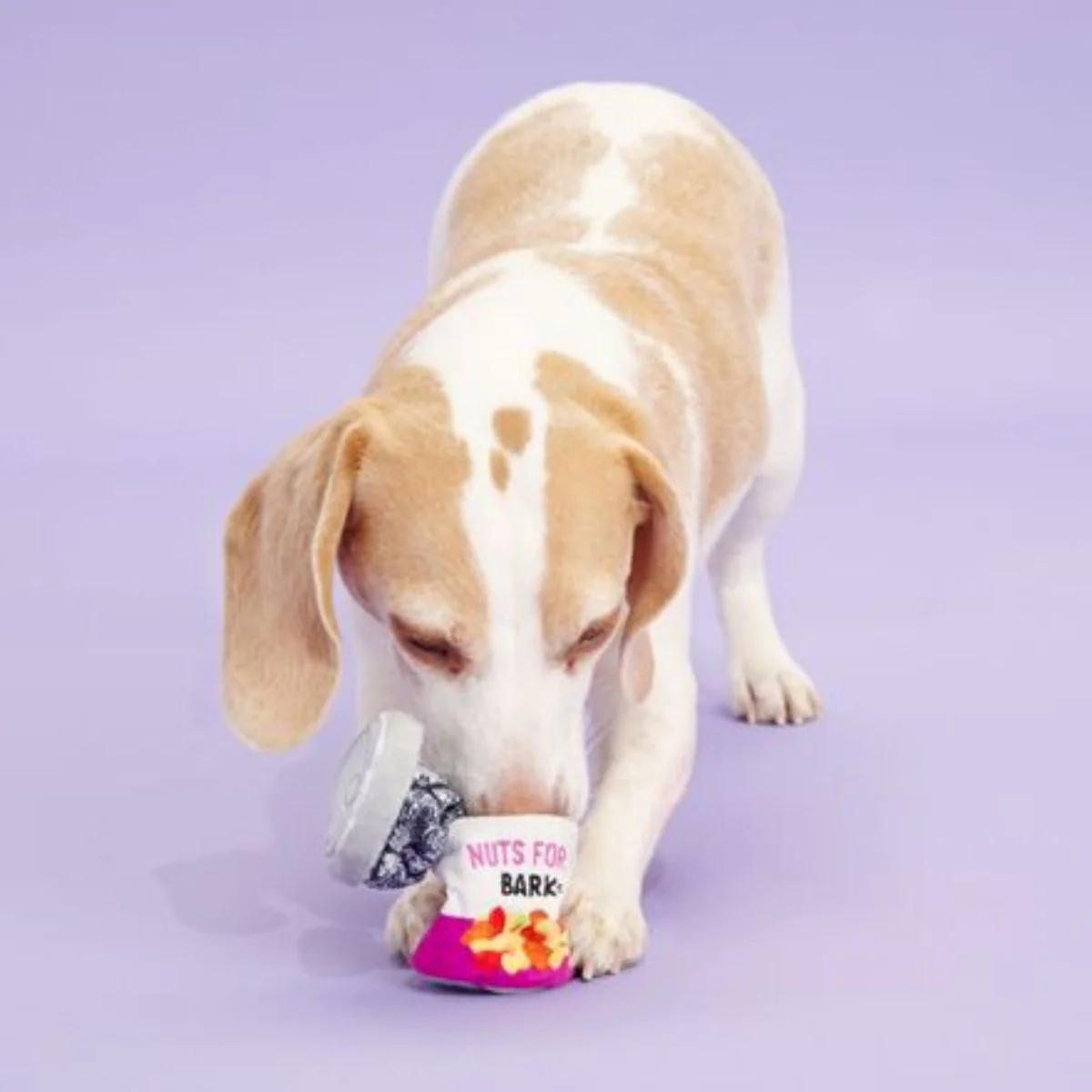 Harmless Can o' Nuts - Image 3