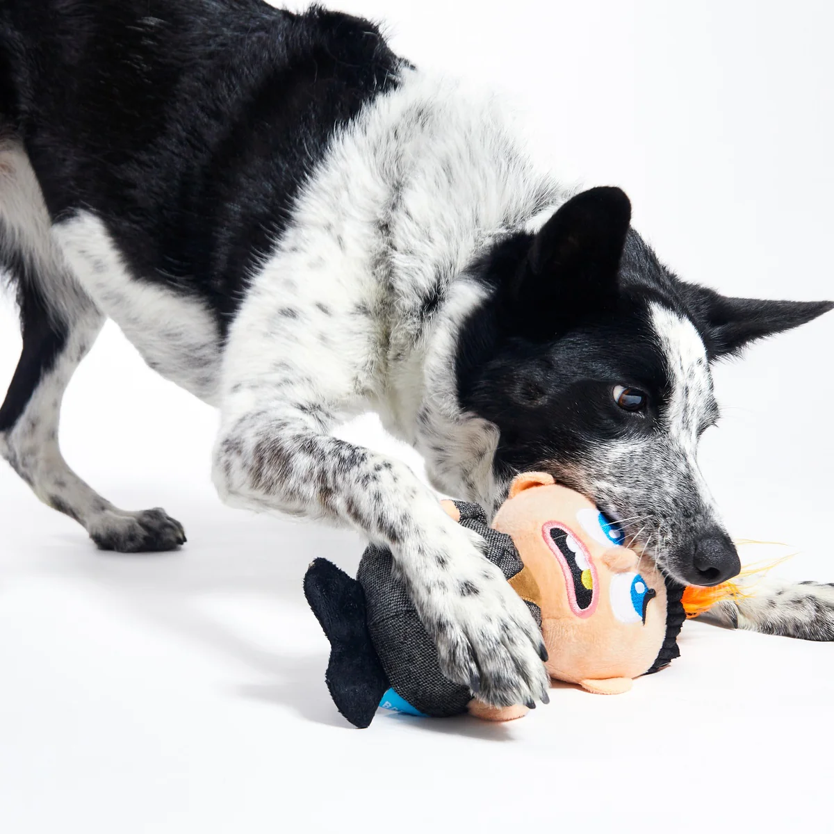 Harry Plush Dog Toy - Image 3