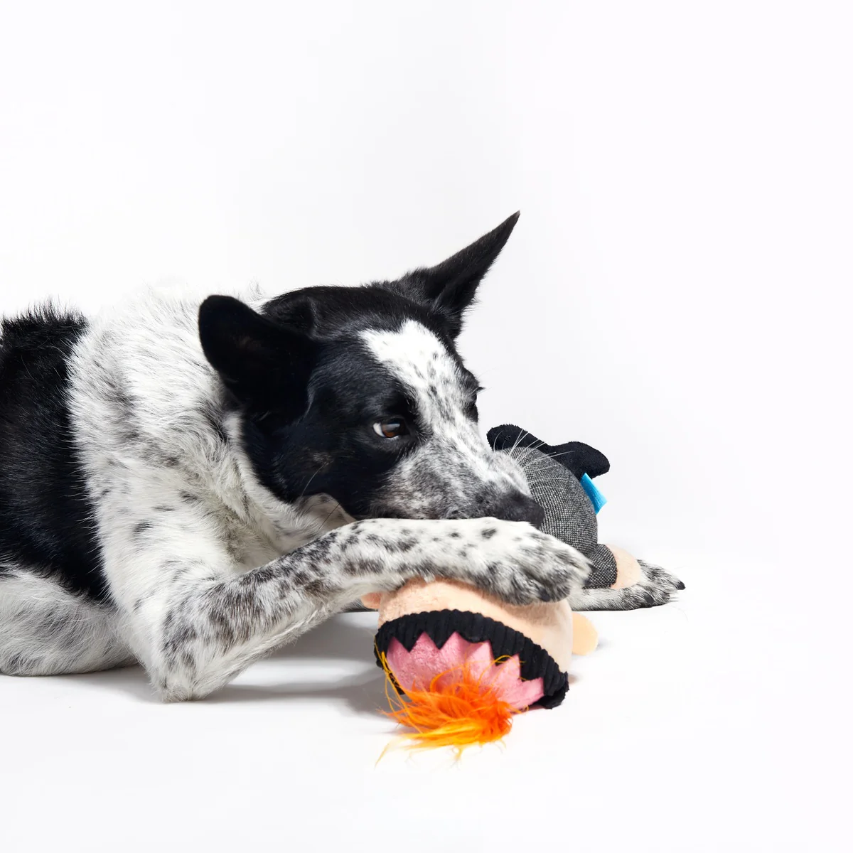 Harry Plush Dog Toy - Image 6