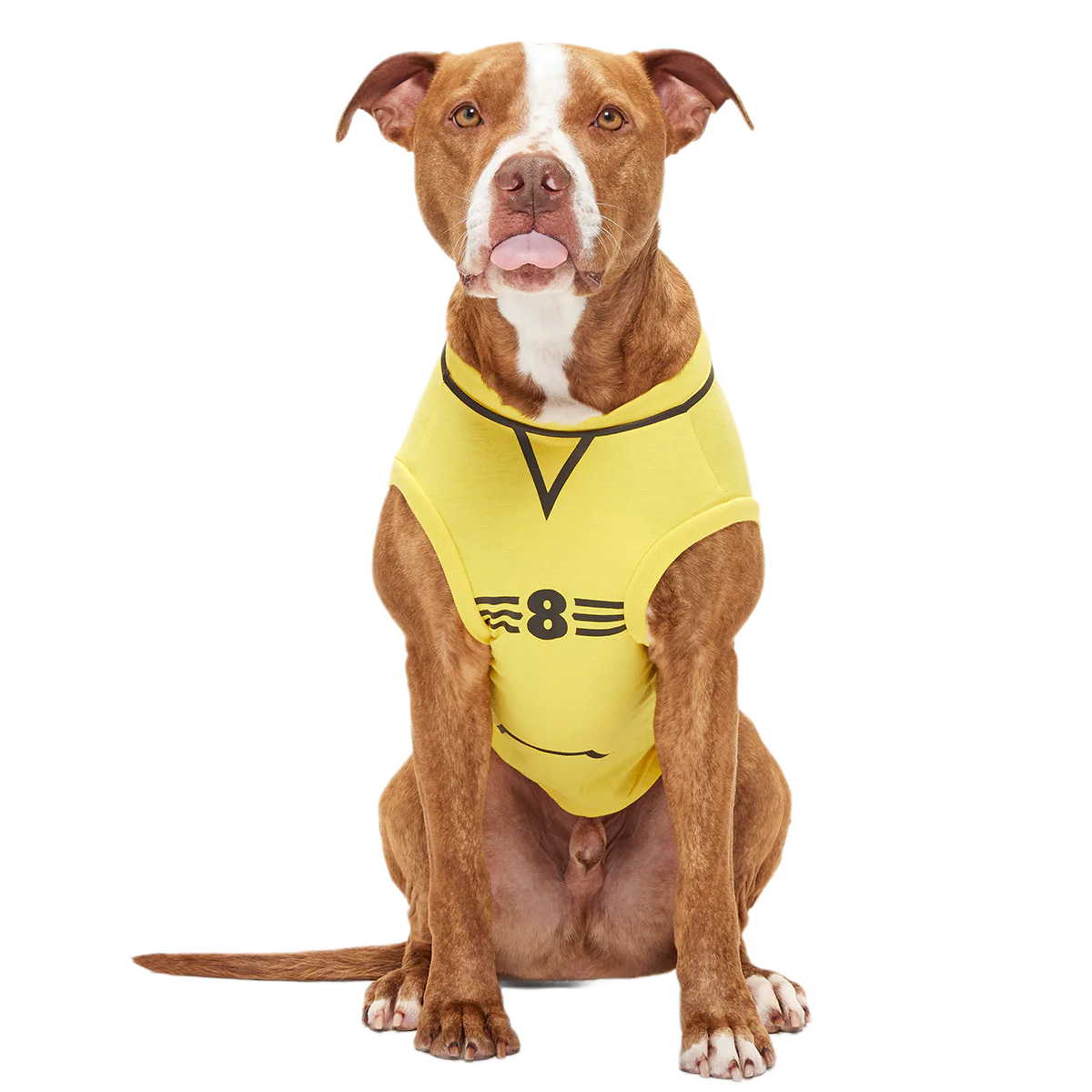 Quidditch™ Jersey - Image 13