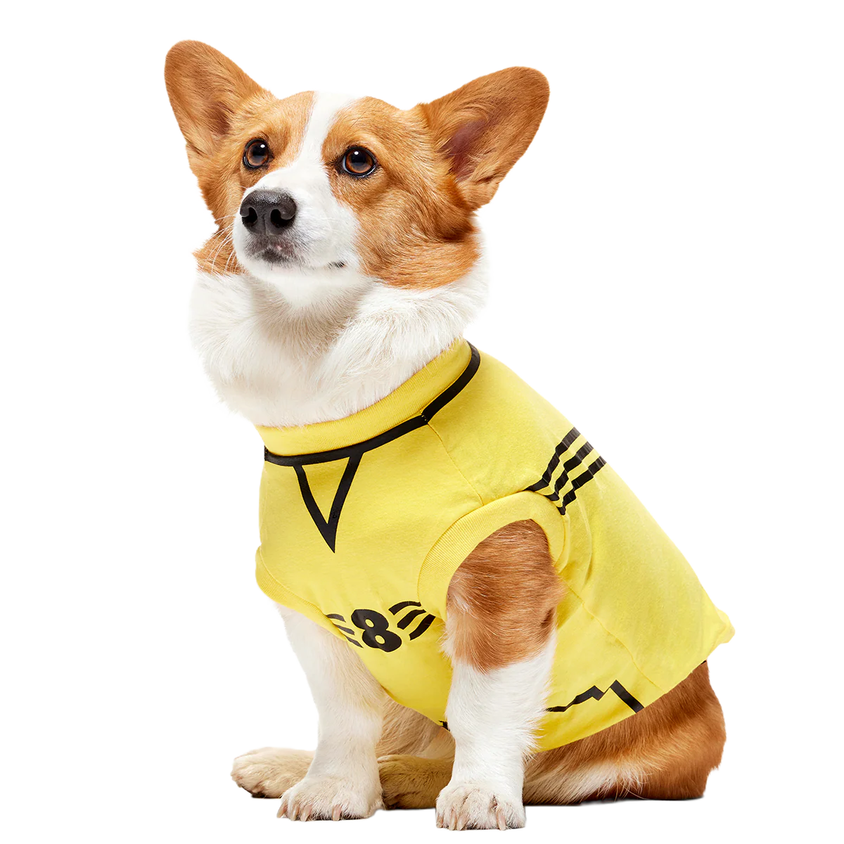 Quidditch™ Jersey - Image 15