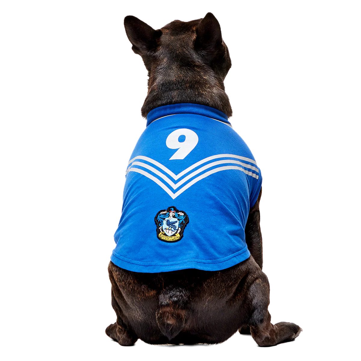 Quidditch™ Jersey - Image 17