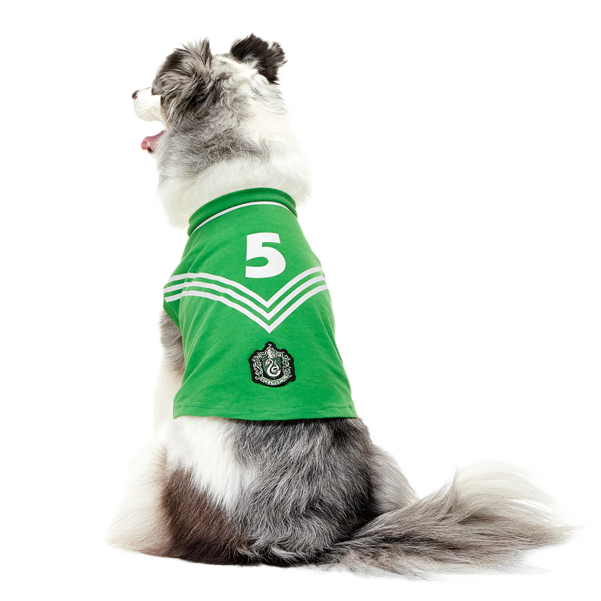 Quidditch™ Jersey - Image 28