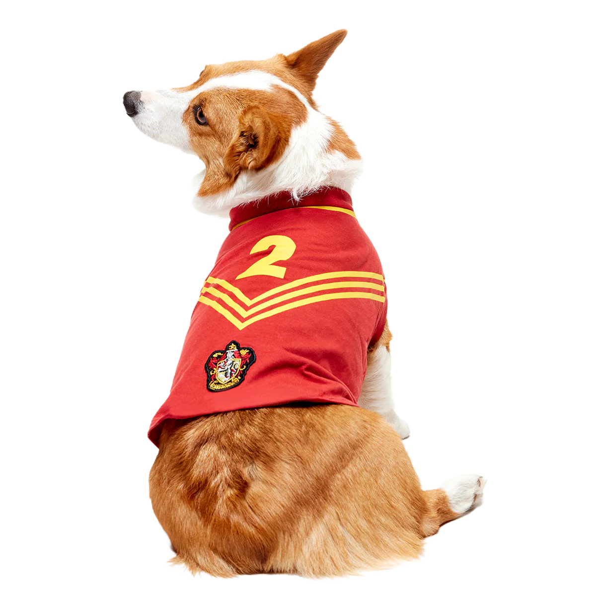 Quidditch™ Jersey - Image 5