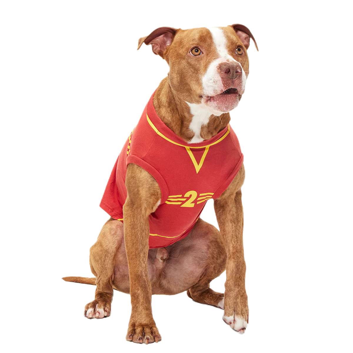 Quidditch™ Jersey - Image 6