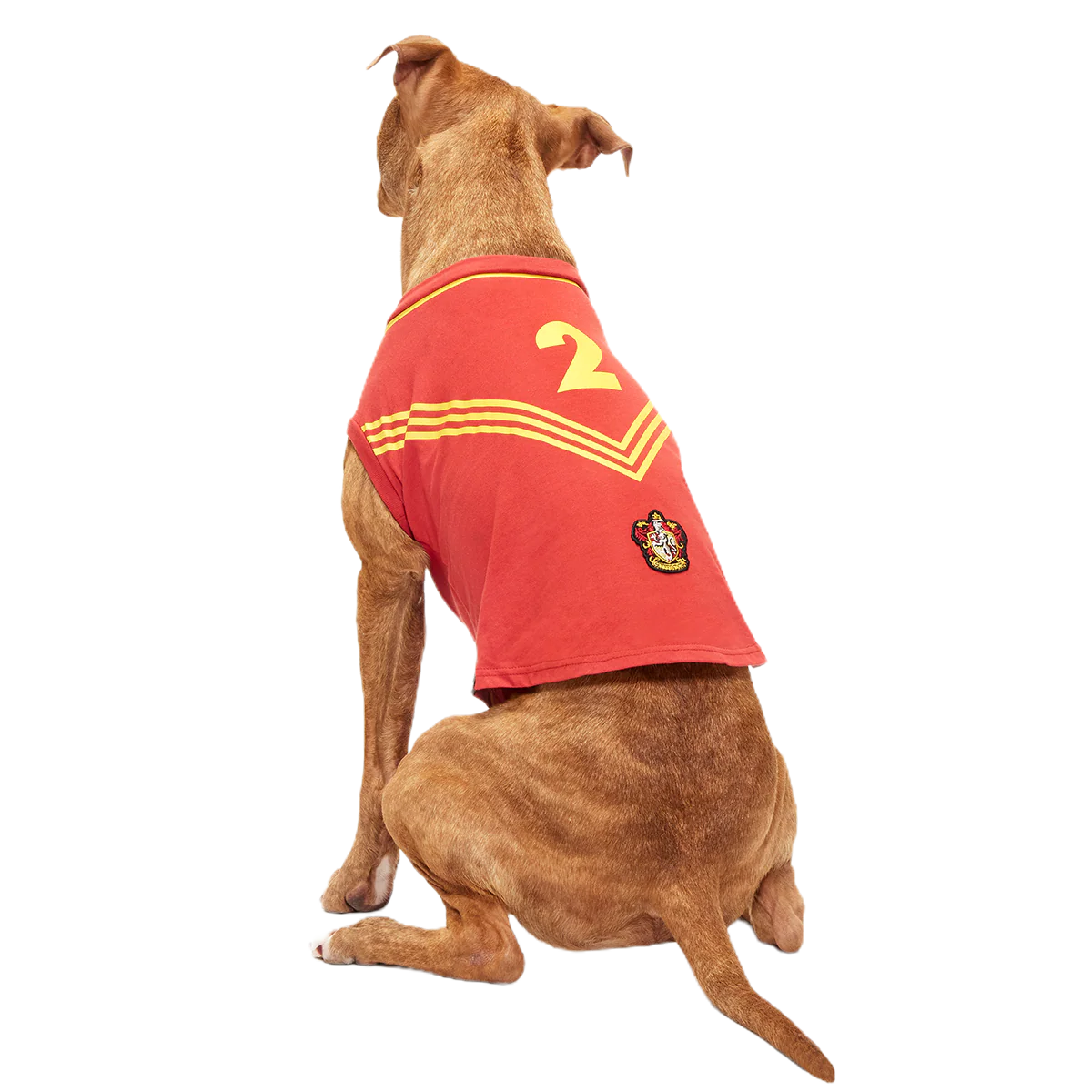 Quidditch™ Jersey - Image 7