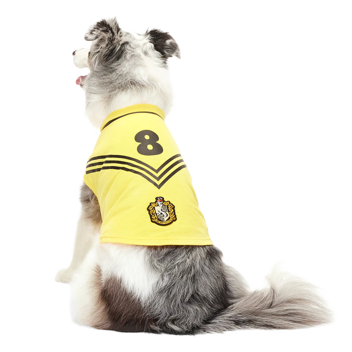 Quidditch™ Jersey - Image 9