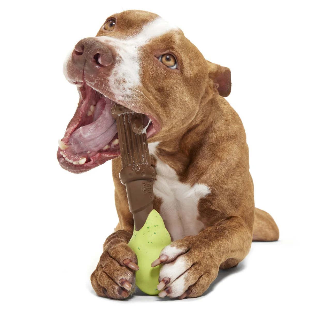 HARRY POTTER™ Super Chewer Durable Multi-Part + Fetch Dog Toy Bundle - Image 10