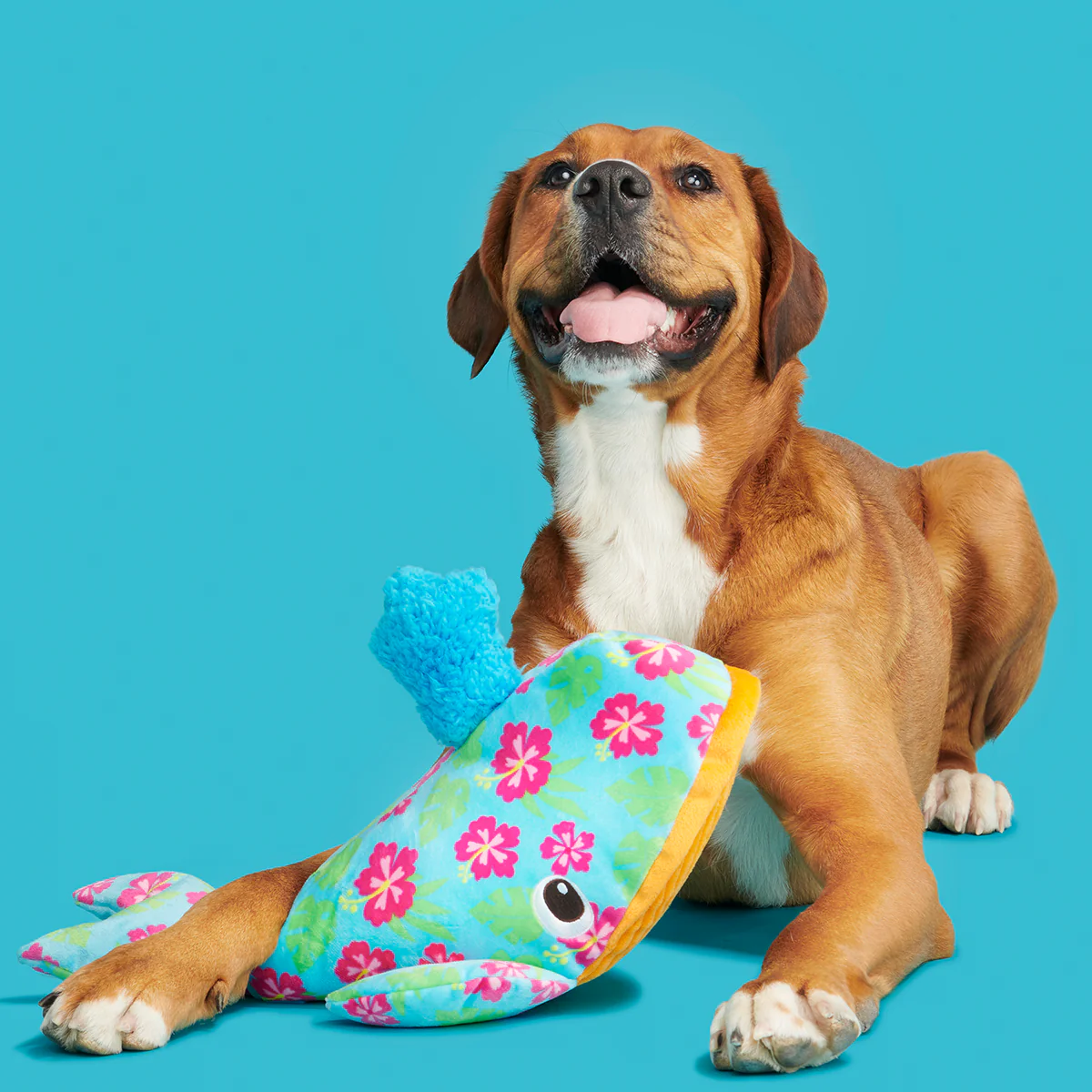 Hawaiian Humpbark Whale Plush Tug + Extra-Large Dog Toy - Image 8
