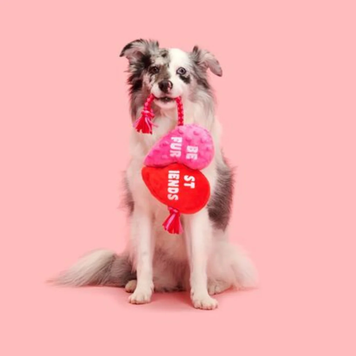Heartstrings Tugger Plush Tug Dog Toy - Image 3