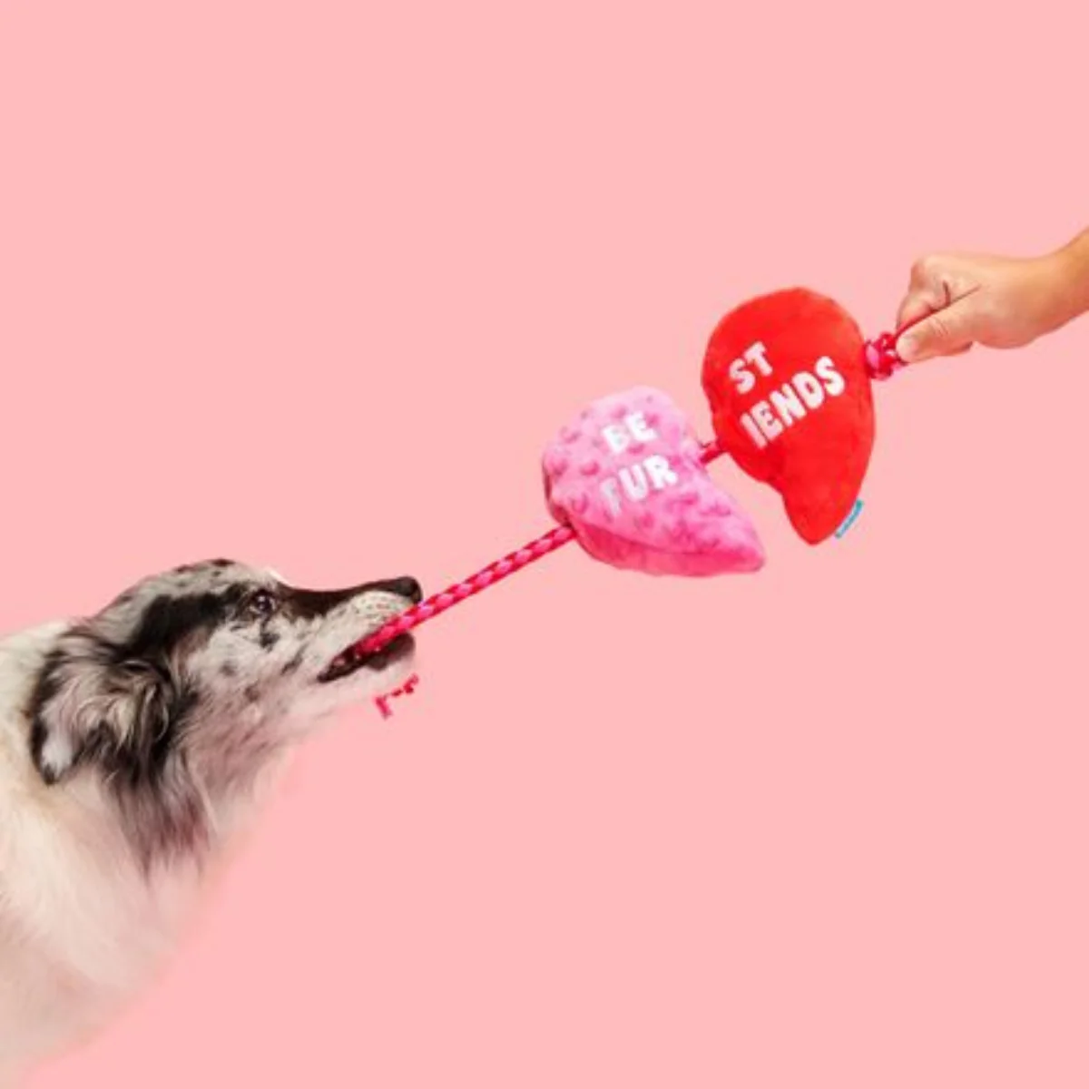 Heartstrings Tugger Plush Tug Dog Toy - Image 4
