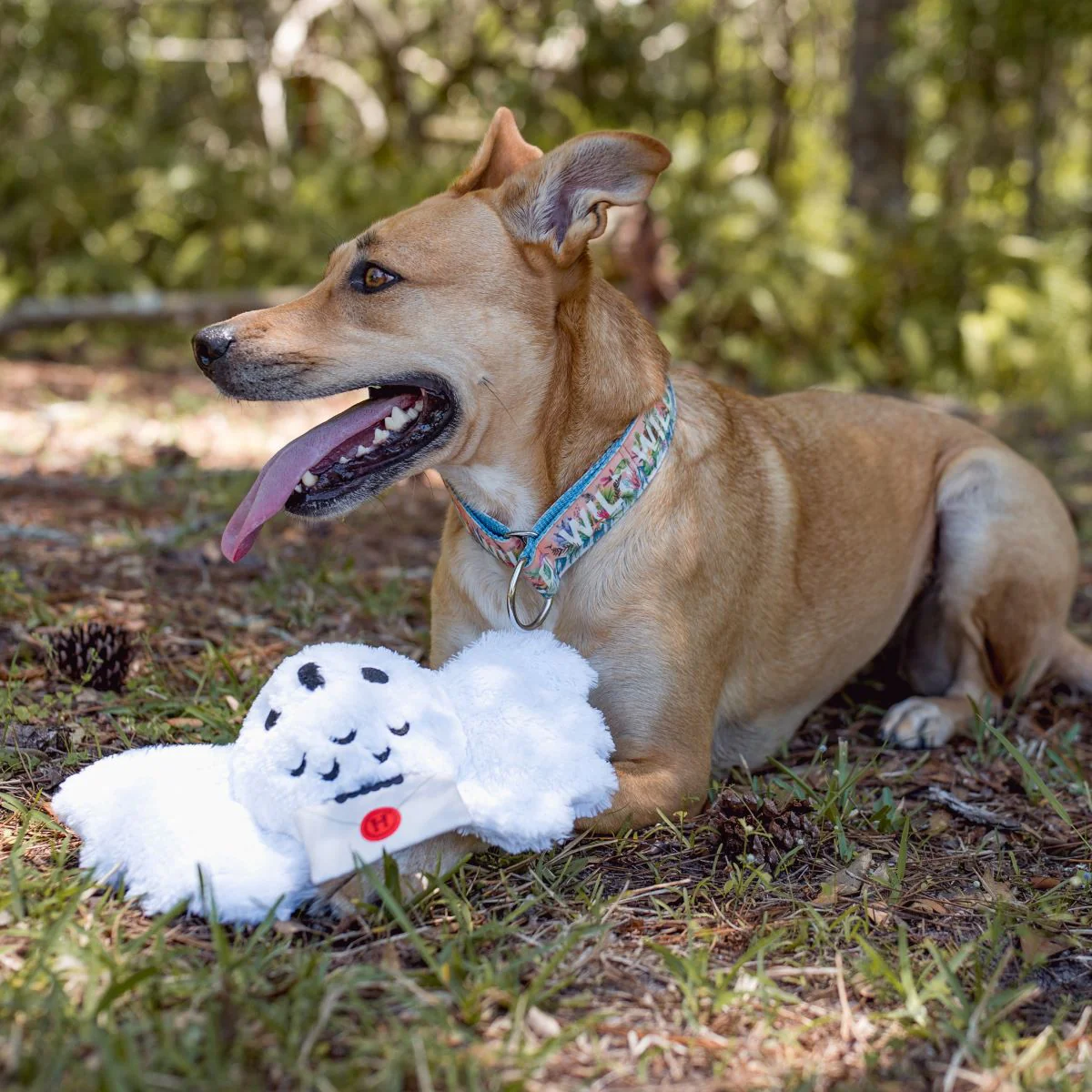 Hedwig™ Plush Tug Dog Toy - Image 6