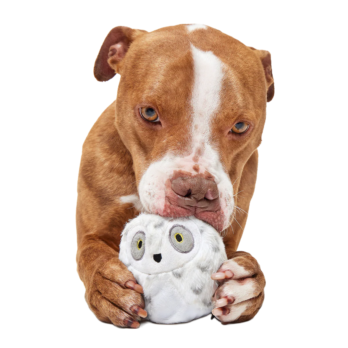 Hedwig™ the Owl Super Chewer Durable 2-in-1 + Fetch Dog Toy - Image 3