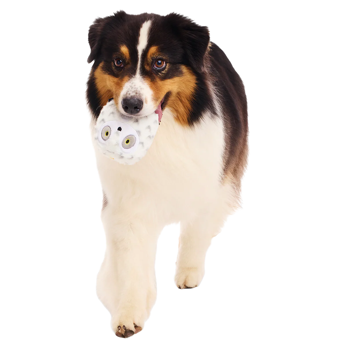 Hedwig™ the Owl Super Chewer Durable 2-in-1 + Fetch Dog Toy - Image 4