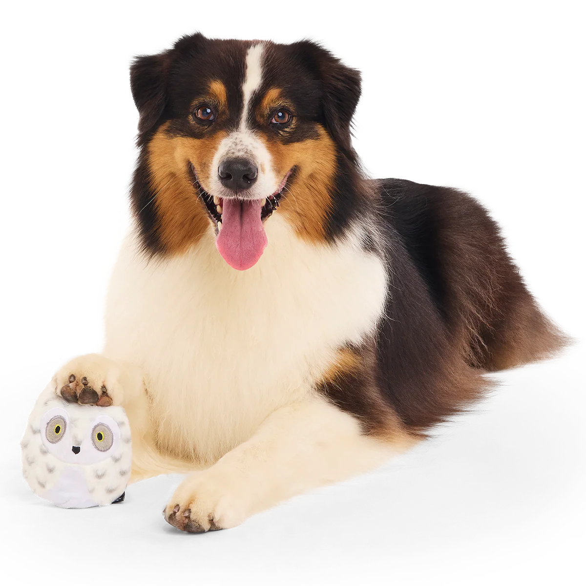 Hedwig™ the Owl Super Chewer Durable 2-in-1 + Fetch Dog Toy - Image 5