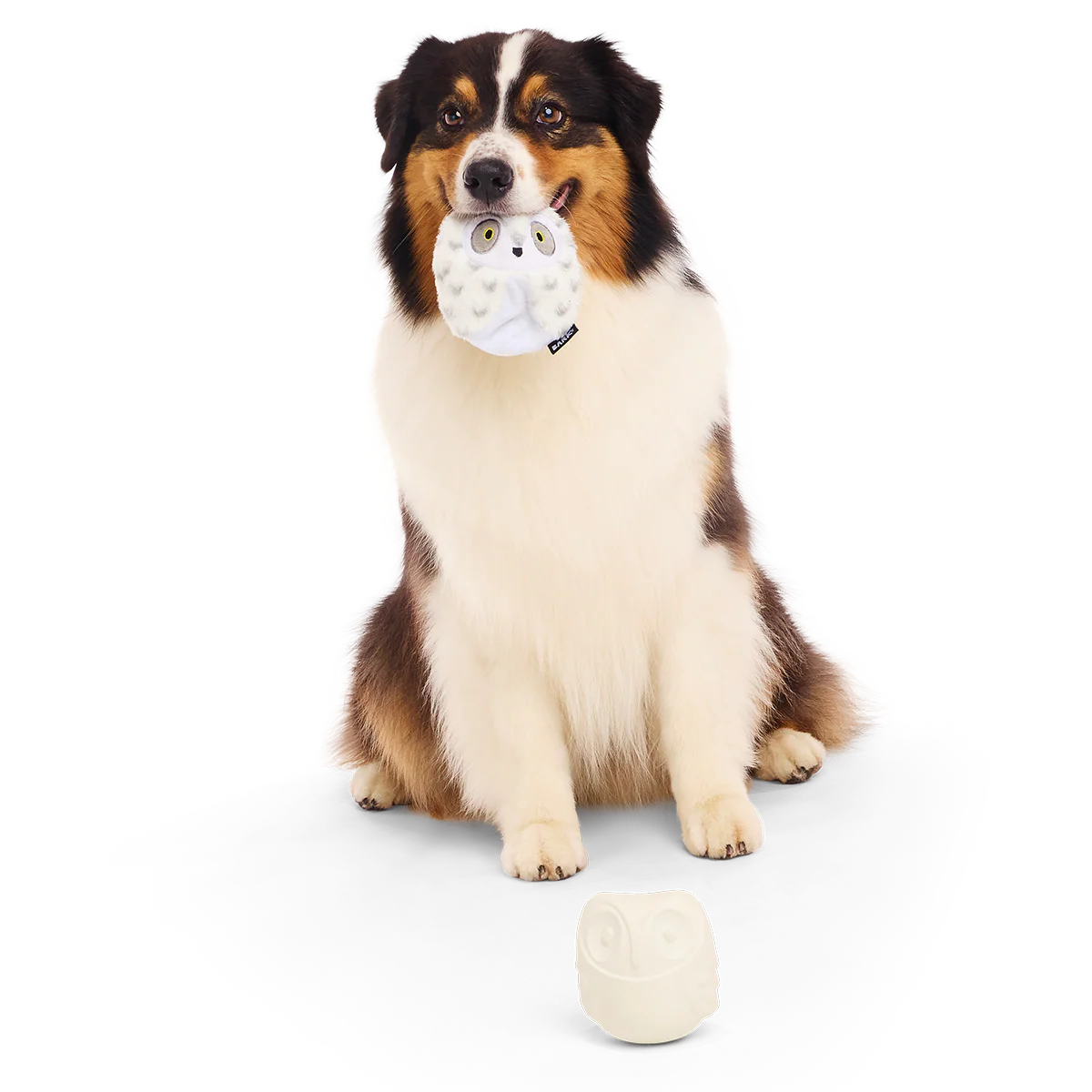 Hedwig™ the Owl Super Chewer Durable 2-in-1 + Fetch Dog Toy - Image 6