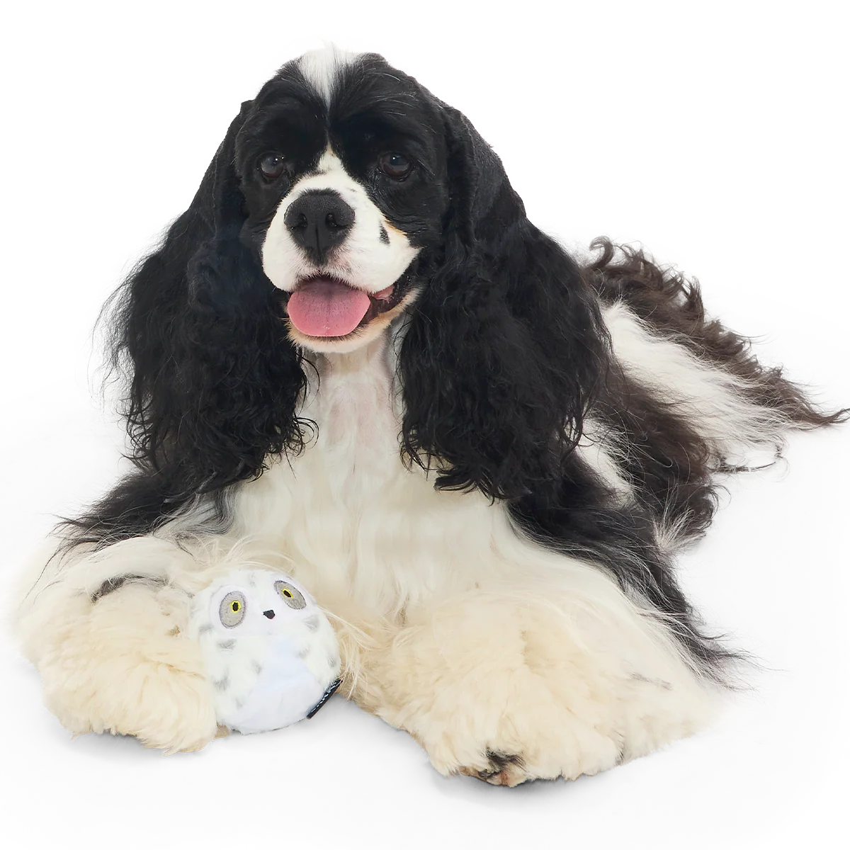 Hedwig™ the Owl Super Chewer Durable 2-in-1 + Fetch Dog Toy - Image 7
