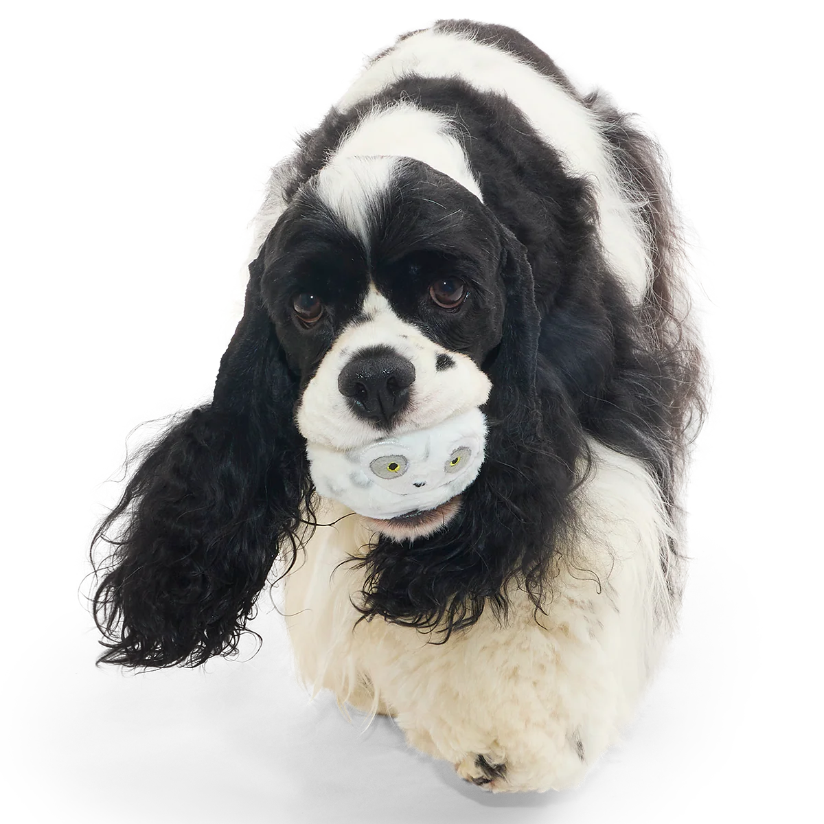 Hedwig™ the Owl Super Chewer Durable 2-in-1 + Fetch Dog Toy - Image 8