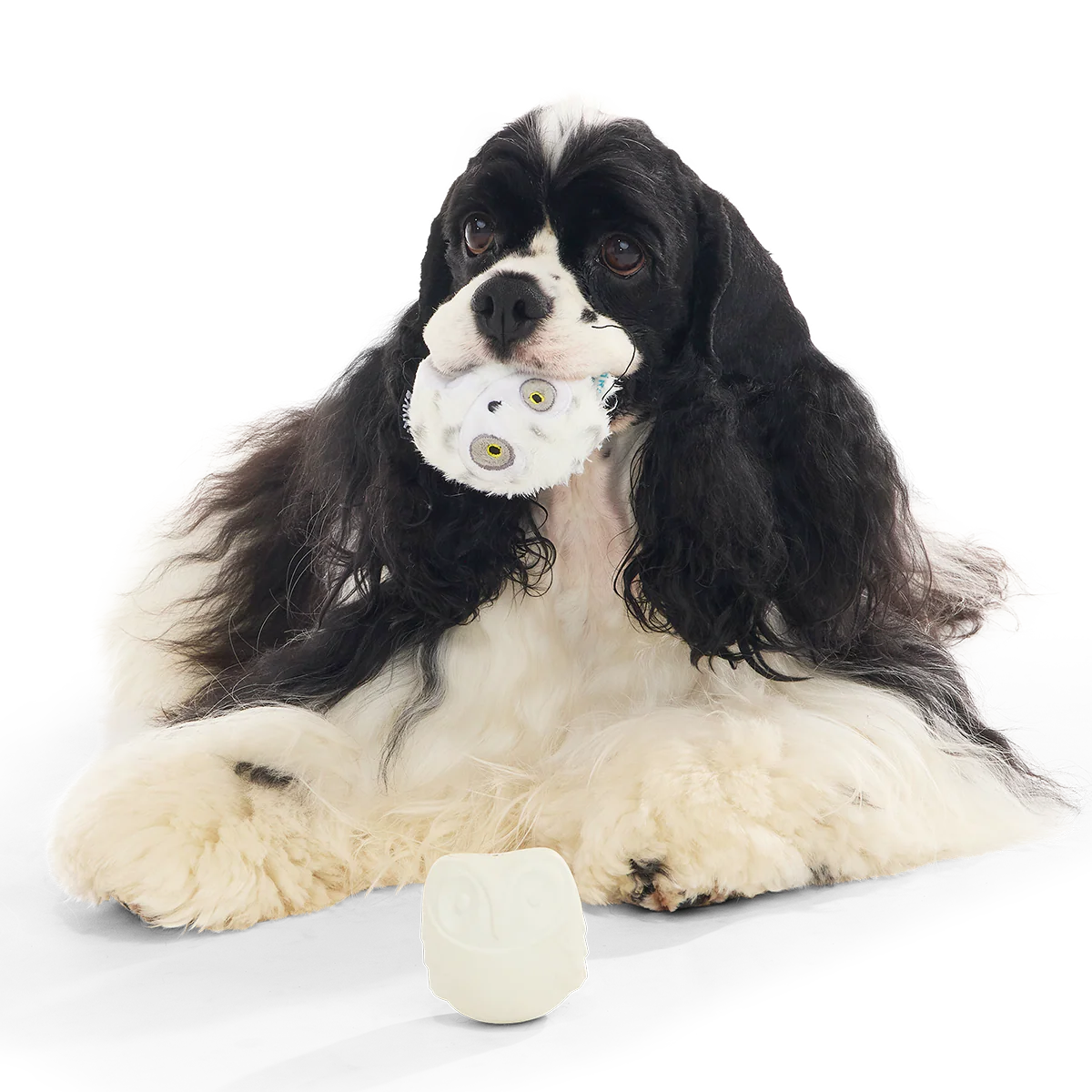 Hedwig™ the Owl Super Chewer Durable 2-in-1 + Fetch Dog Toy - Image 9