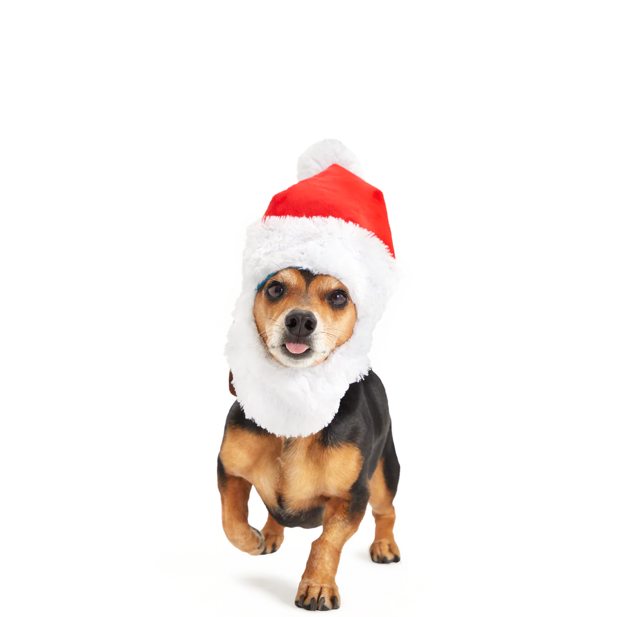 Here Comes Santa Paws Plush Wearable Tug Dog Toy - Image 4