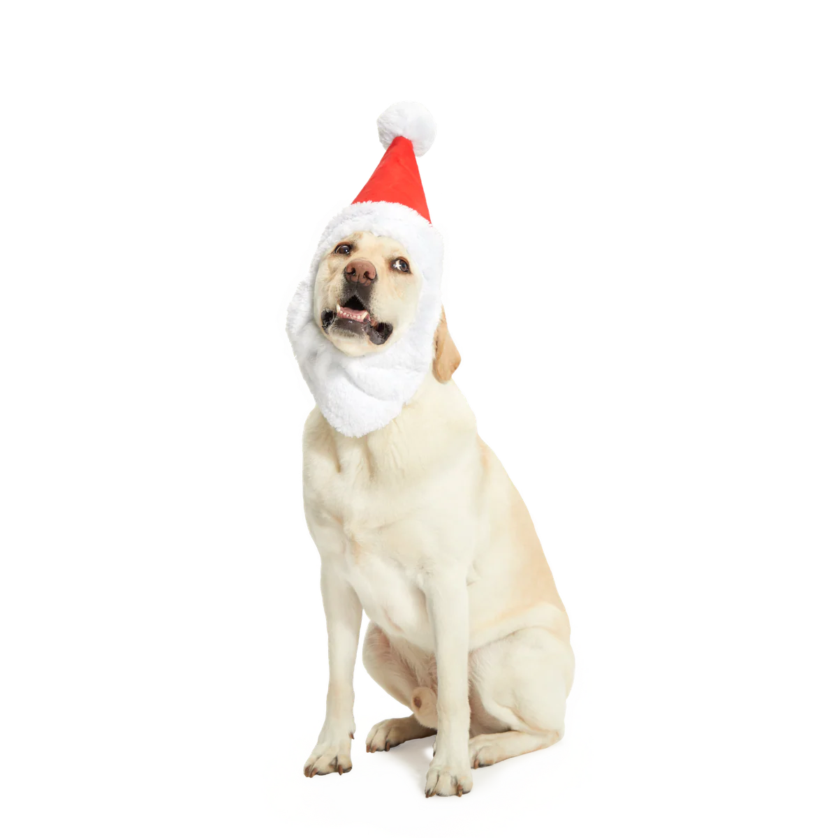 Here Comes Santa Paws Plush Wearable Tug Dog Toy - Image 5