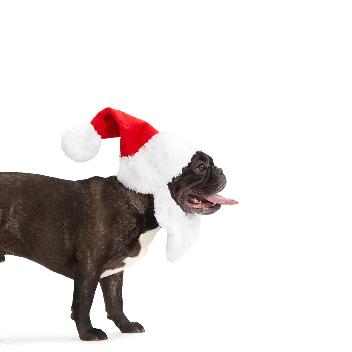 Here Comes Santa Paws Plush Wearable Tug Dog Toy - Image 8