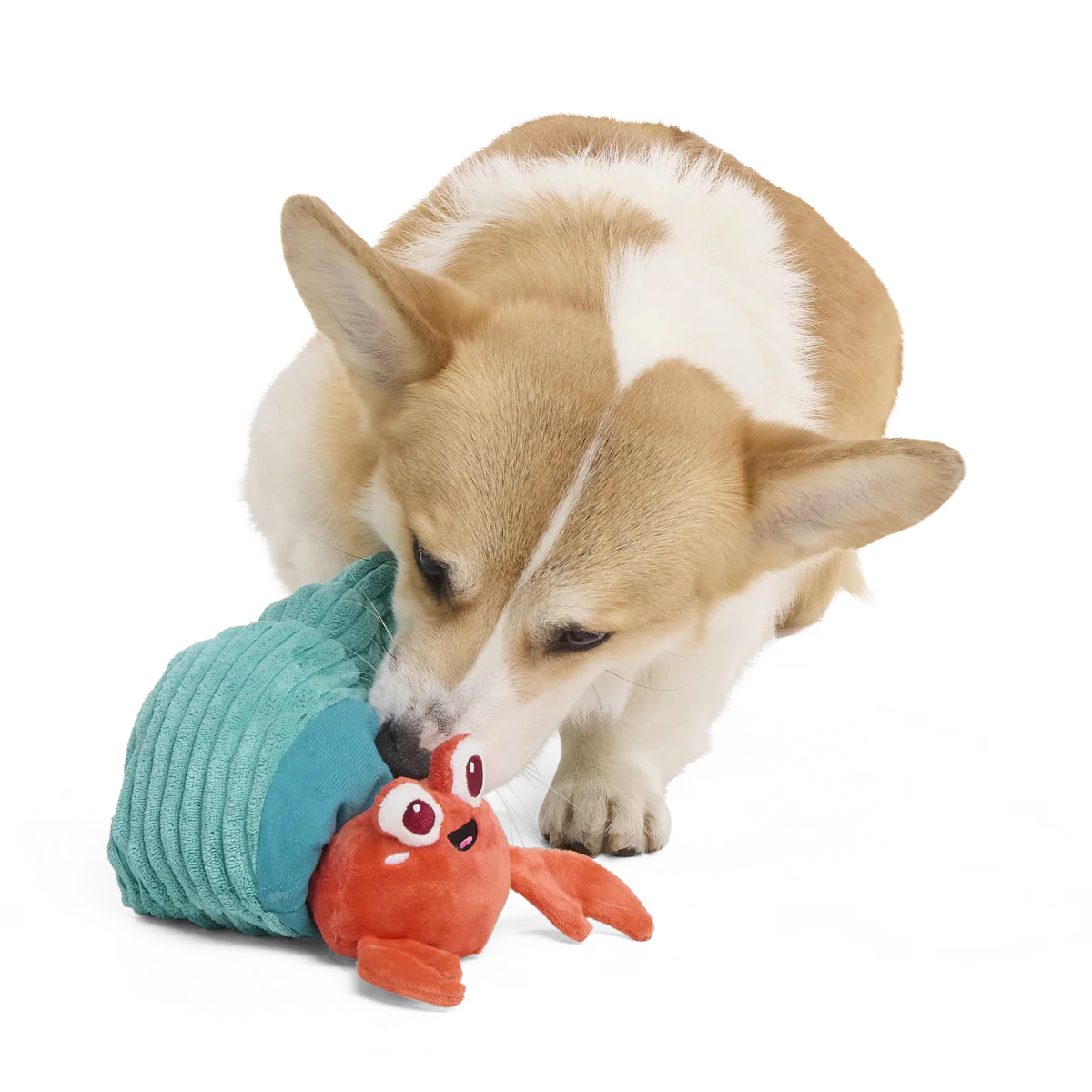 Herman the Hermit Plush Tug Dog Toy - Image 4