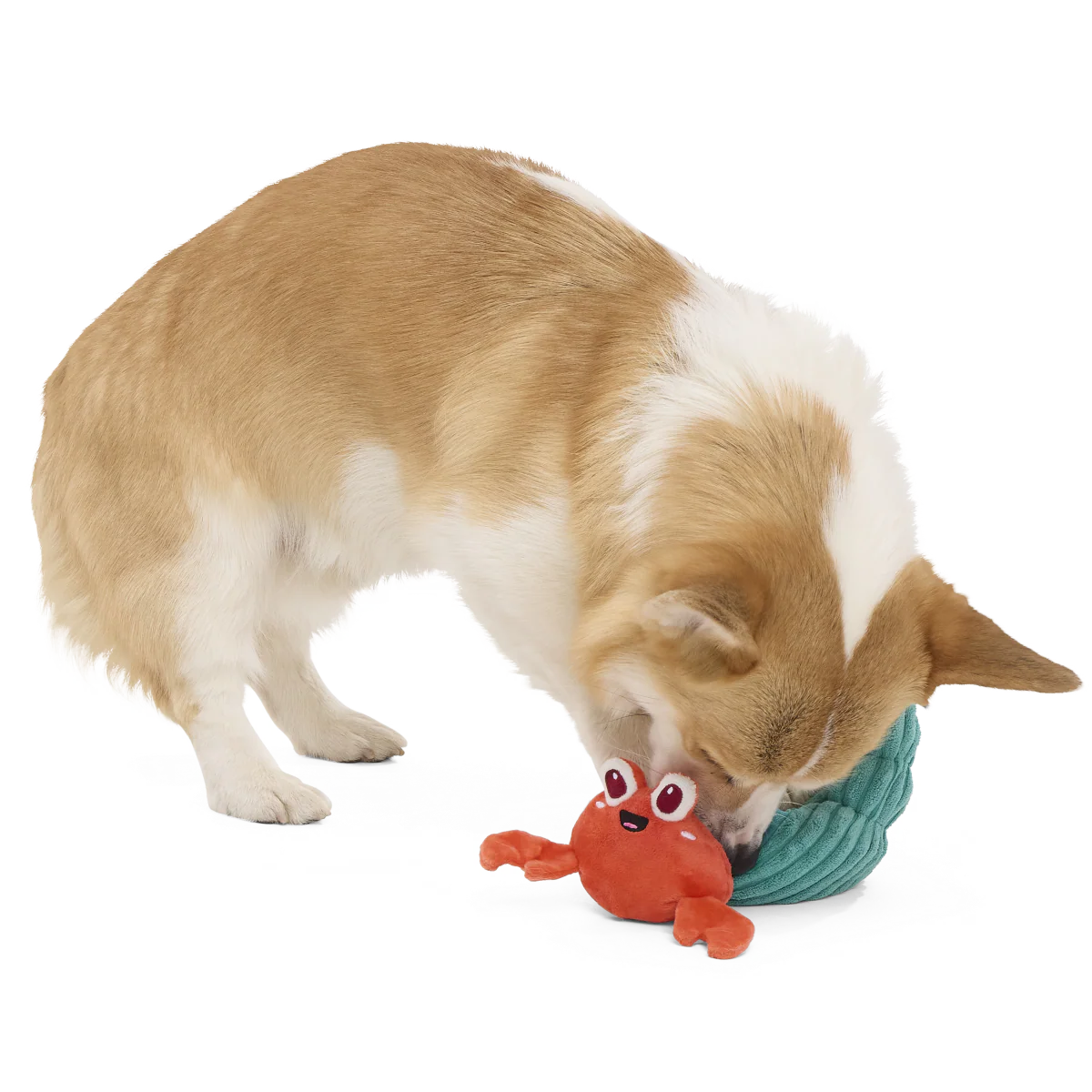 Herman the Hermit Plush Tug Dog Toy - Image 5